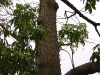Africa 2 008